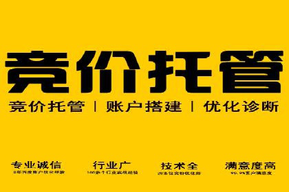 竞价广告的投放技巧与网络推广的实践
